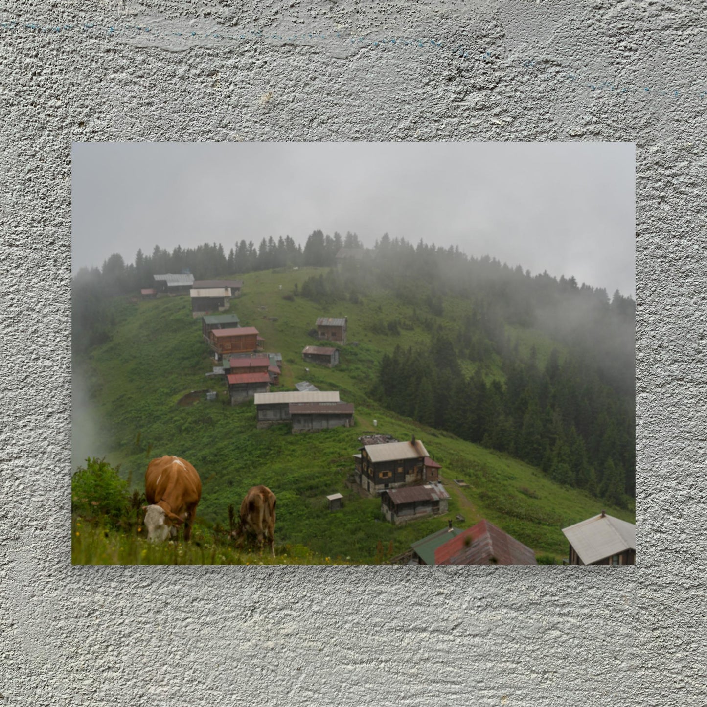 No. 9900A Fine Art Country Side Mountains Matte Paper Print