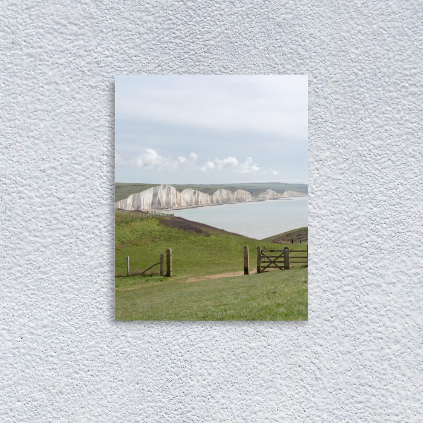 No. 7900A Fine Art Seaside Meadow Matte Paper Print
