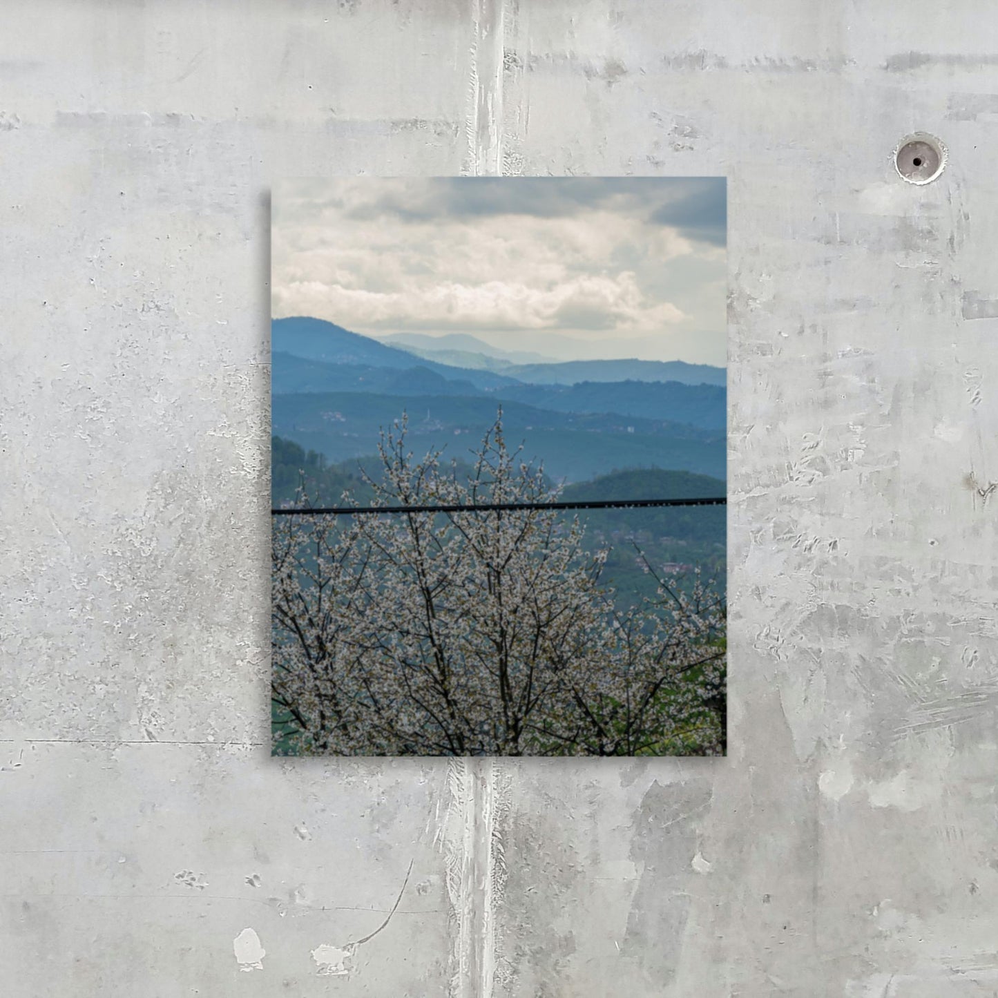 No. 9300A Fine Art Blossoming Mountain Rages Matte Paper Print