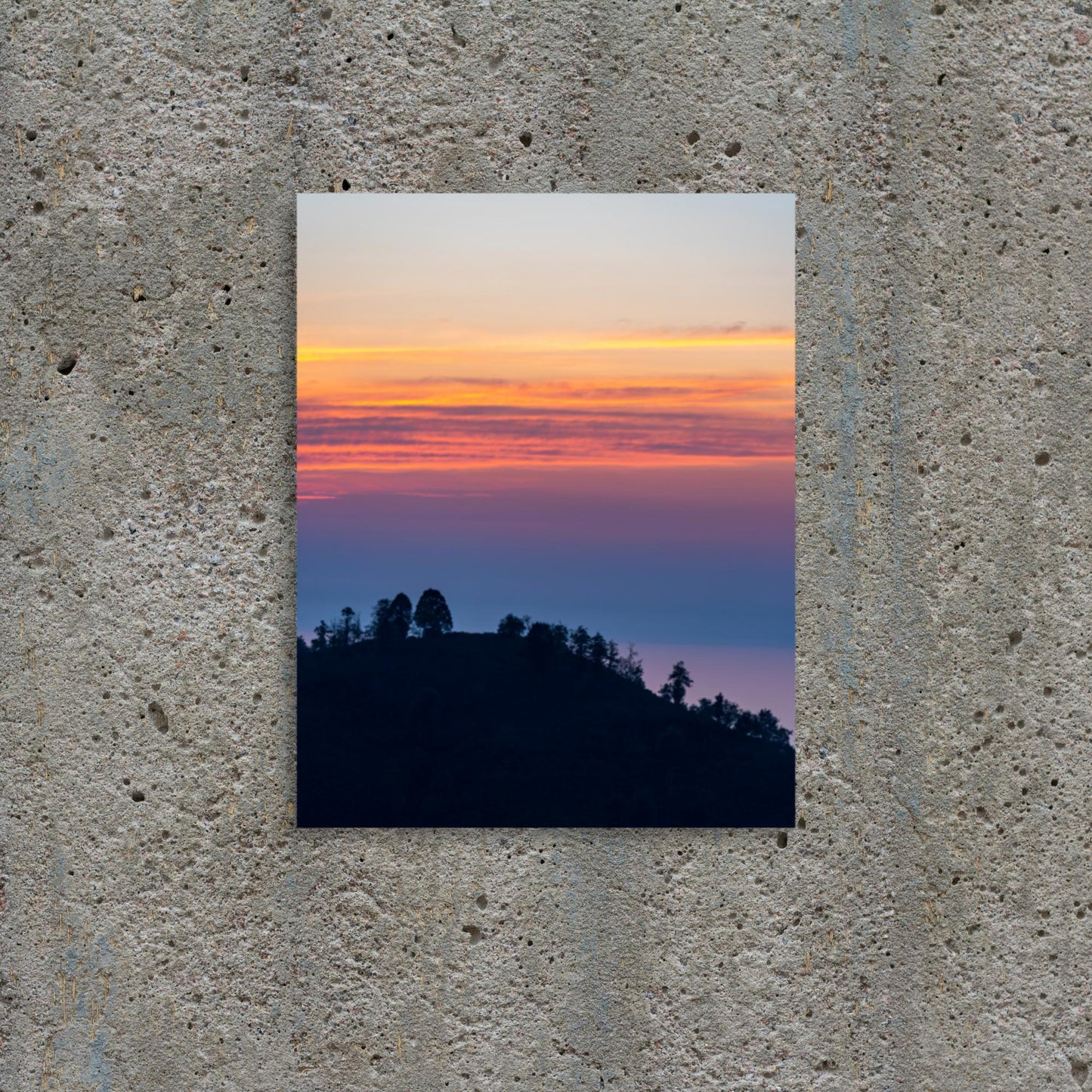 No. 9500A Fine Art Sunset Forest Matte Paper Print