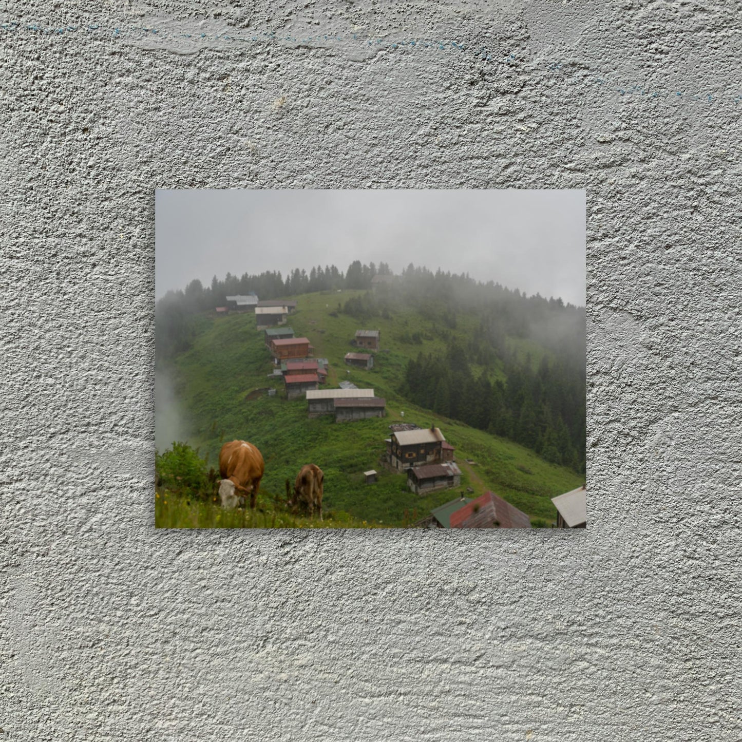 No. 9900A Fine Art Country Side Mountains Matte Paper Print