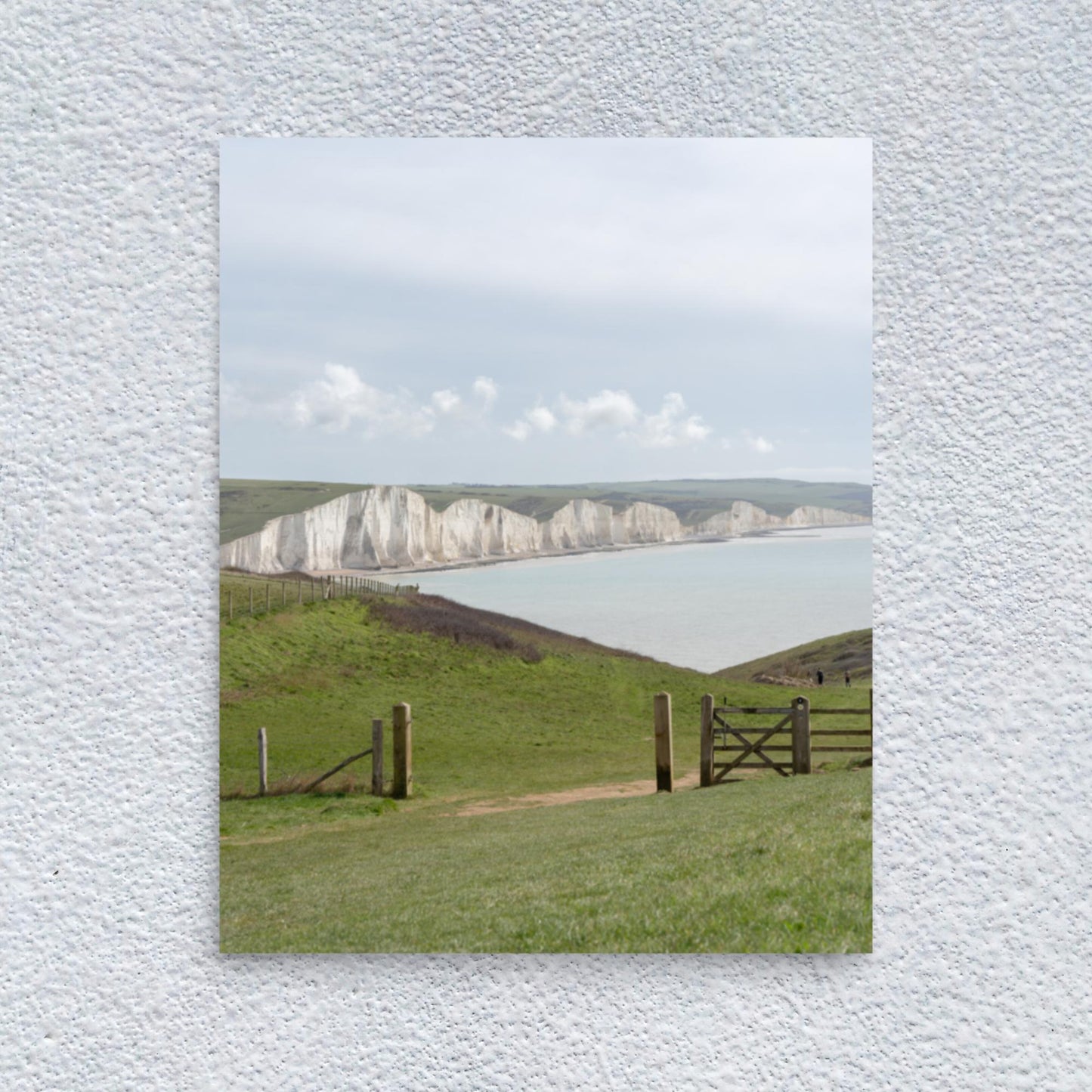 No. 7900A Fine Art Seaside Meadow Matte Paper Print