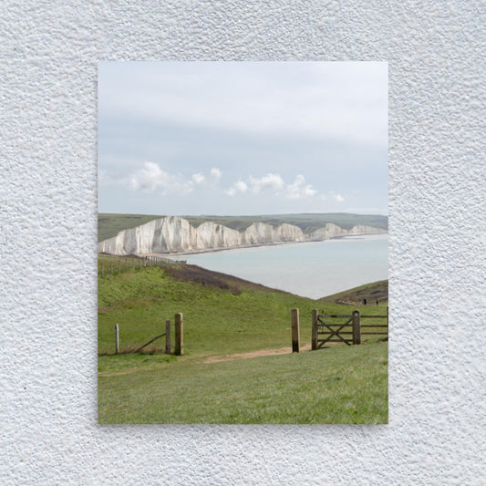 No. 7900A Fine Art Seaside Meadow Matte Paper Print