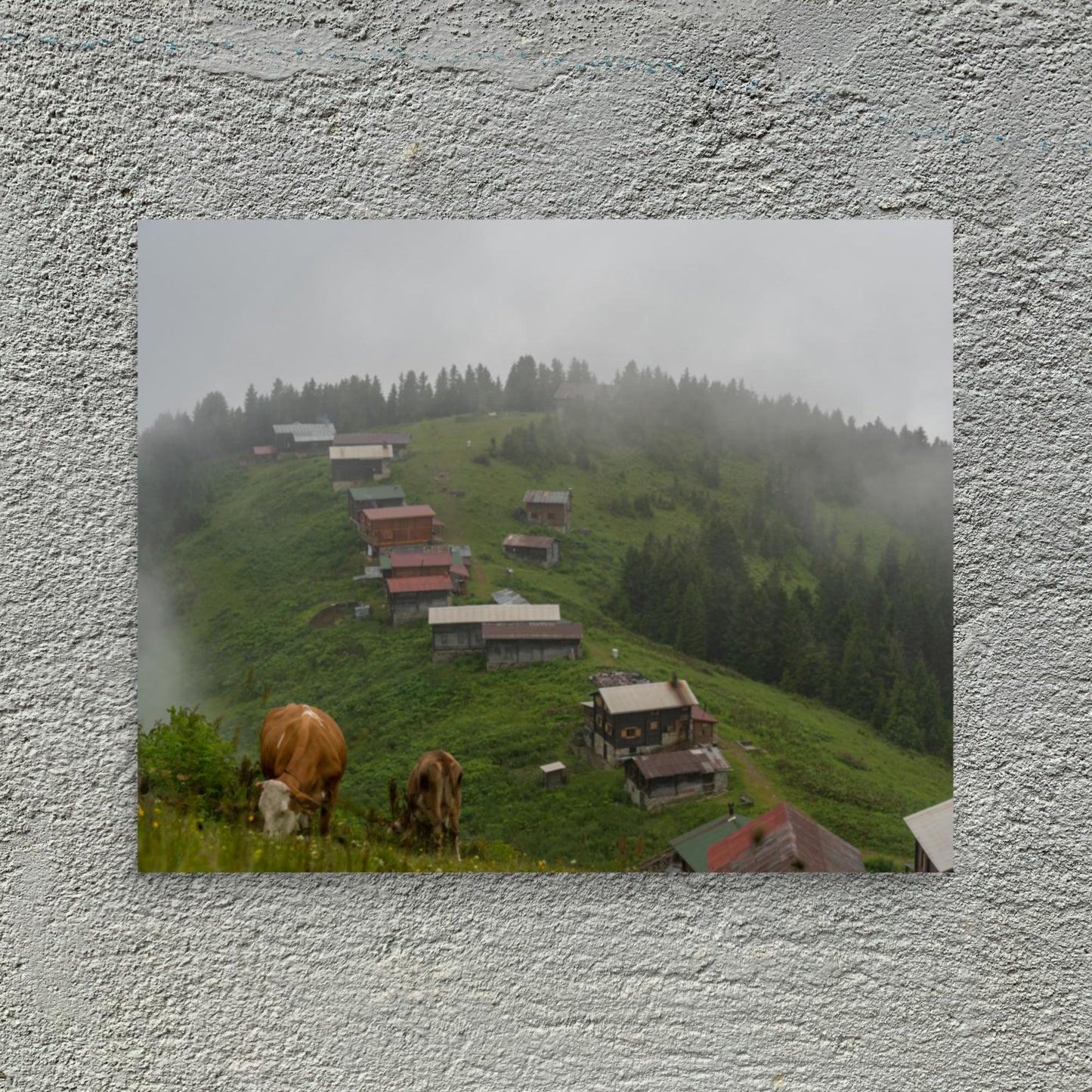 No. 9900A Fine Art Country Side Mountains Matte Paper Print