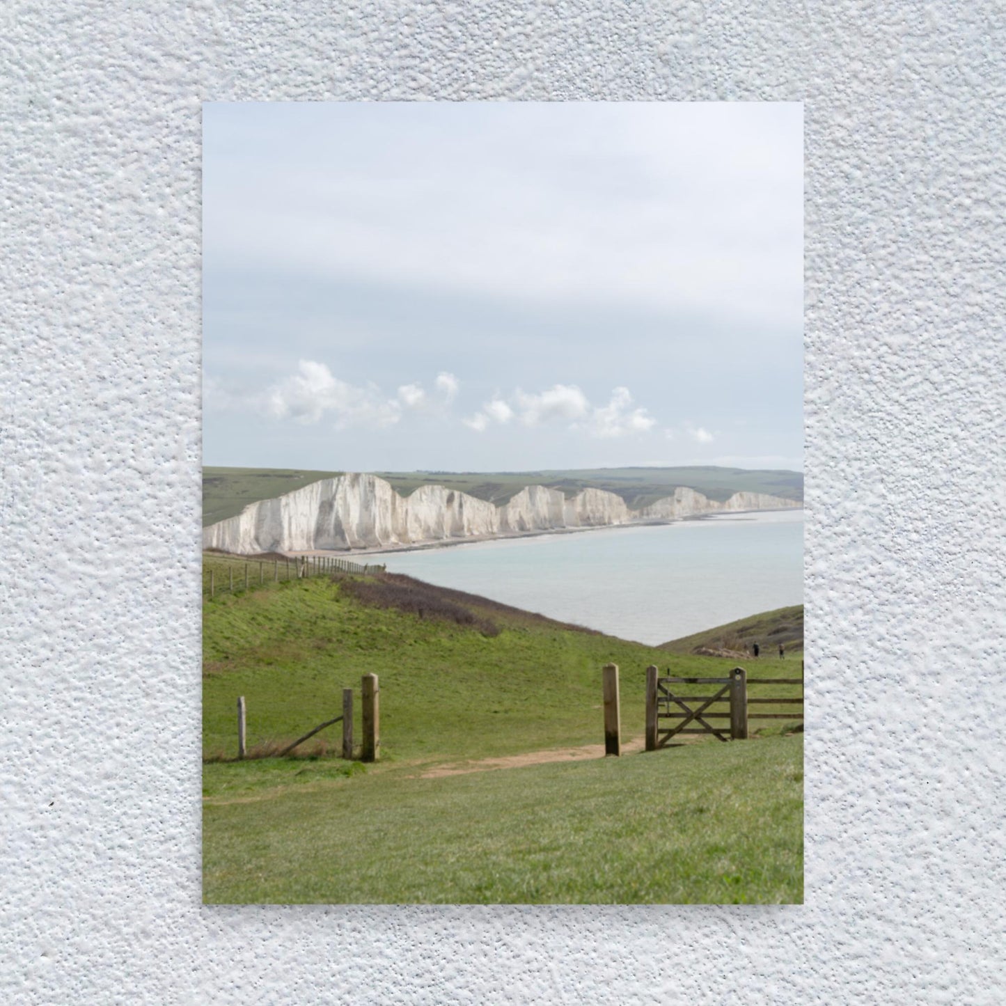 No. 7900A Fine Art Seaside Meadow Matte Paper Print