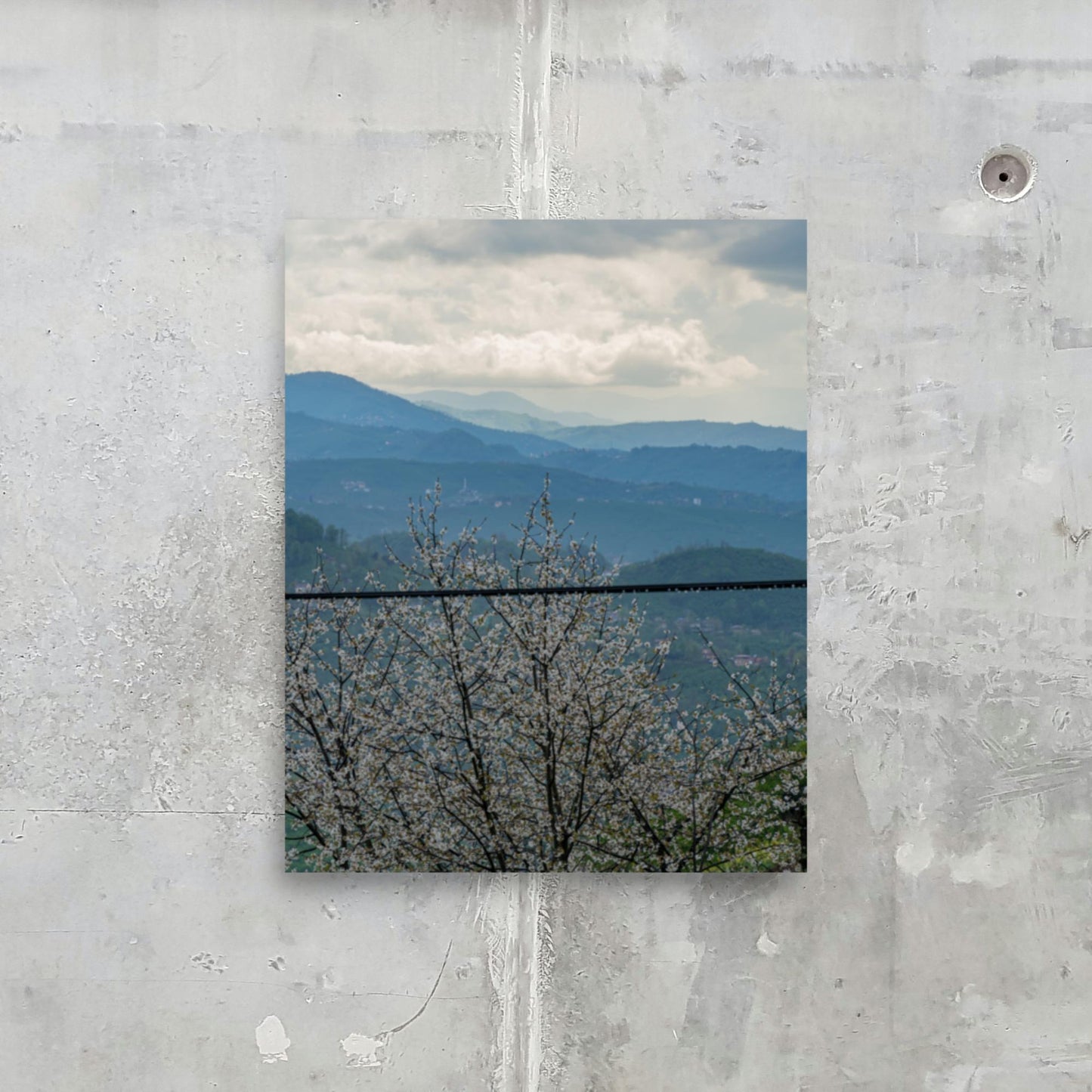 No. 9300A Fine Art Blossoming Mountain Rages Matte Paper Print