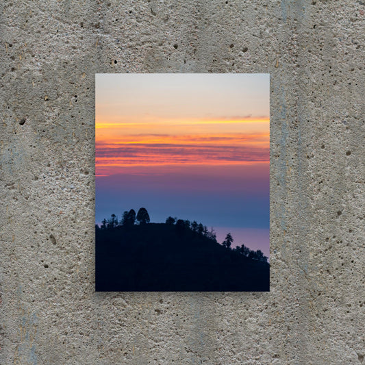 No. 9500A Fine Art Sunset Forest Matte Paper Print